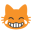 :joy_cat: š¹