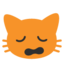 🙀 🙀