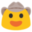 :face_with_cowboy_hat: š¤
