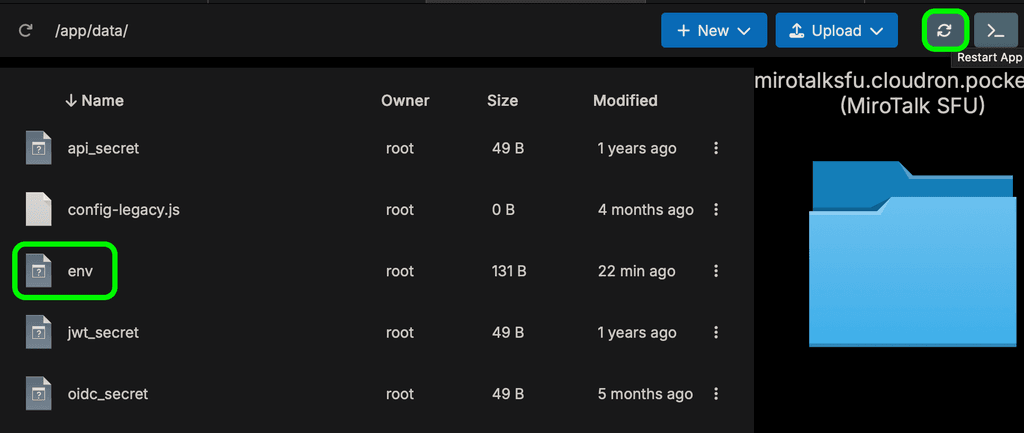 03-edit-env-and-restart-instance.png