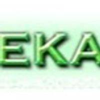 pendekarqqin