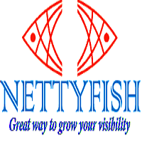 Nettyfish