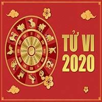 tuvi2020lvs