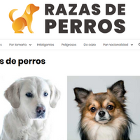 razasdeperros