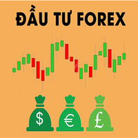 dautuforex